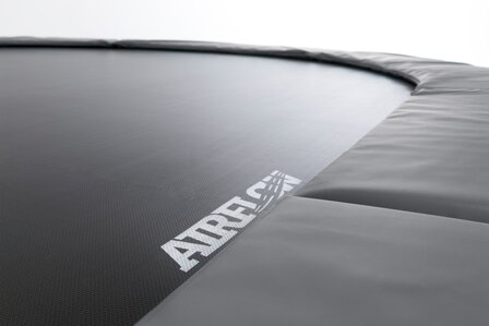 Berg Grand champion inground